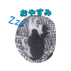 Reima_20260322195203