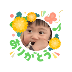 eringi_20260322195445