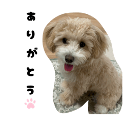 Kinaco_20260322221259