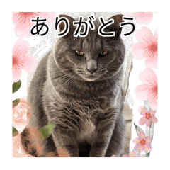 kana_20260322164516