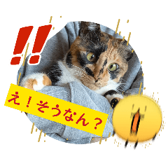 Haruto Yamauchi_20260322220722