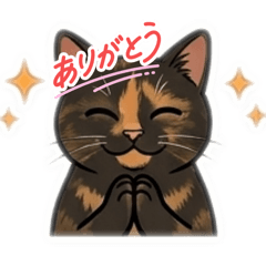 kanmi_20260322230024