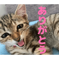 SAKAMOTOfam_22_20260322225945