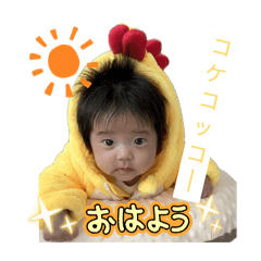 hashimoto_20260322171324