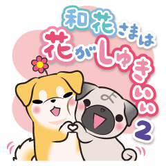 和花さまは花がしゅきぃぃ２