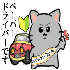Paper Driver Cat