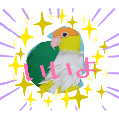 HAPPY BIRD LIFE_20260322214835