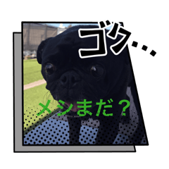 Masako_20260322220546