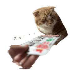 LeoNyaNta_20260322215833