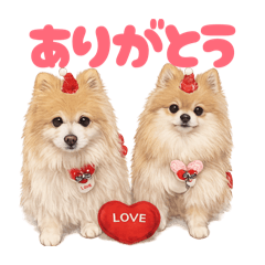 piropiro_20260322221007