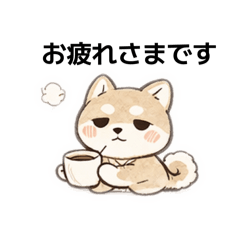 Honte Shiba Inu