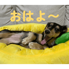 menma_20260322232851