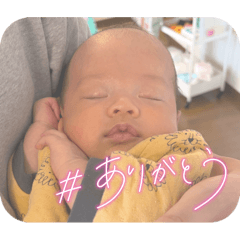 ohagisan_20260320172408