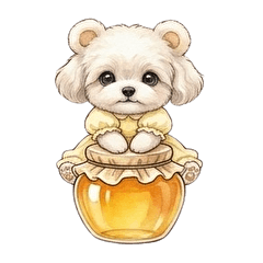 Fluffy Maltipoo Honey no text 1