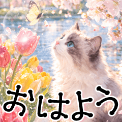 とびだす!春猫日和♪ずっと使える春の挨拶