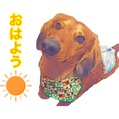 sora s every day