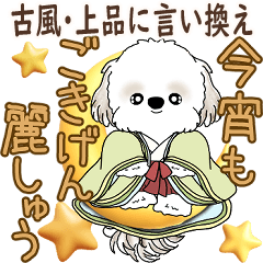 シーズー犬 2026 「古風・上品な言葉」