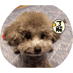 MARINANA_20260322223946