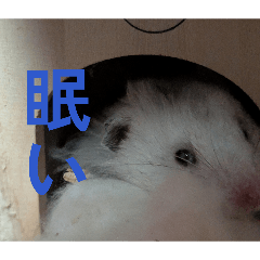 abc4101aa55_20260323010859