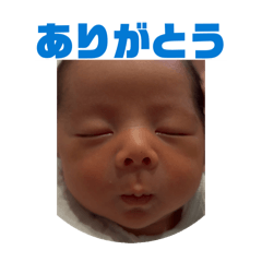 tsubasa_20260322224215