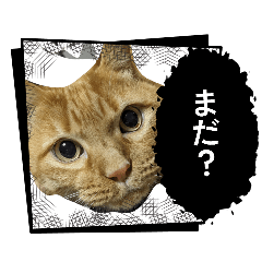 poteto_20260322225157