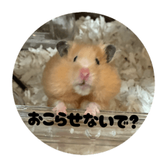 ichimikunn_20260322223152