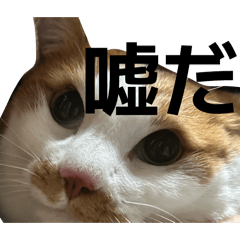 Makimaki_20260322224838