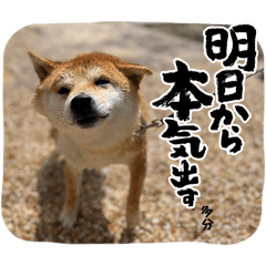 minami_20260322224916