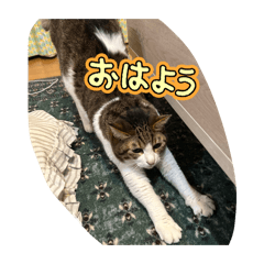 Parko_20260322224113