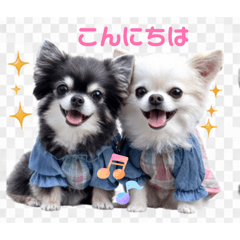 chami_20260322225454