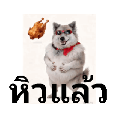 Tonicky177_20260323100841