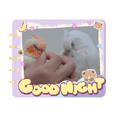 cupcake_20260323113212