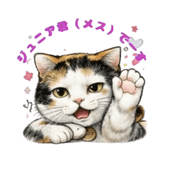 This is my beloved cat, Junior (female).