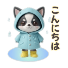 chocotto_20260322171412