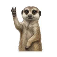 Miyaji_20260322174245