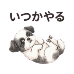 inari_20260322184936