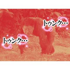 bejita_20260322190538