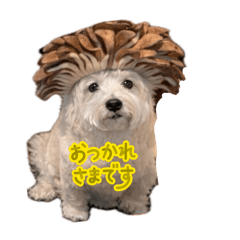 Daniel_20260322185601