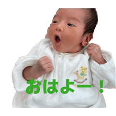 Shotatata_20260322190247