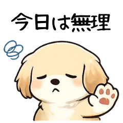 A lazy Golden Retriever