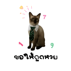 Gonknongmyde_20260322204709