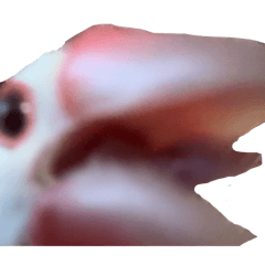 Gonzaresuuuuuuu_20260323050736