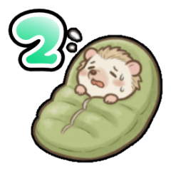 Joy: The Cute & Clever Hedgehog