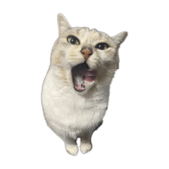 Fu-chan and her friends