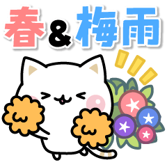 飛び出す!気づかいのできるネコ♪春・梅雨