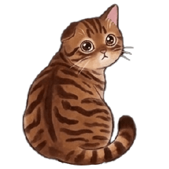 ブラウンタビーのねこちゃんと楽しむ毎日