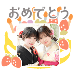 TURTLE original sticker 06250062