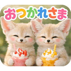 bernese fennec fox p