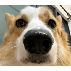 我的名字叫阿飛