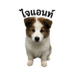 LookjeabP'Kaw_20260323104840